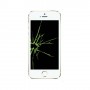 Réparation Apple iPhone 5S vitre + LCD (Réparation uniquement en magasin)