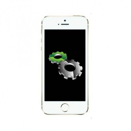 Réparation Apple iPhone 5S connecteur de charge (Réparation uniquement en magasin)
