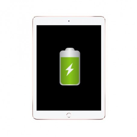 Réparation Apple iPad Pro 9.7 Batterie (Réparation uniquement en magasin)