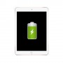 Réparation Apple iPad Pro 9.7 Batterie (Réparation uniquement en magasin)