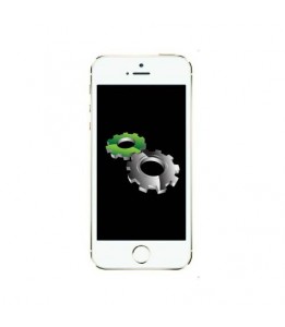 Réparation Apple iPhone 5S vibreur (Réparation uniquement en magasin)