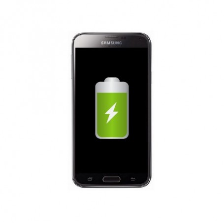 Remplacement Samsung Galaxy S5 SM-G900 Batterie