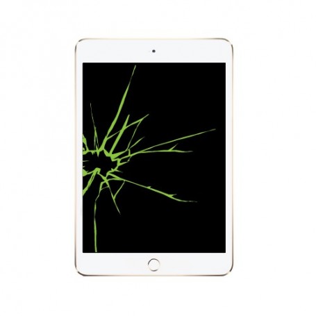 Réparation écran Apple iPad Mini 5 (A2133, A2124, A2126, A2125) vitre + LCD